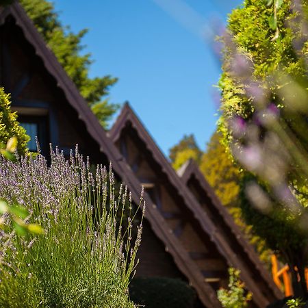 Cabañas Antilhue San Martín de los Andes Exterior foto